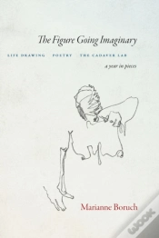 Capa do artigo The Figure Going Imaginary