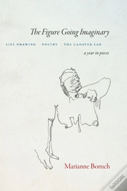 Capa do artigo The Figure Going Imaginary