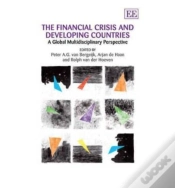 Capa do artigo The Financial Crisis And Developing Countries