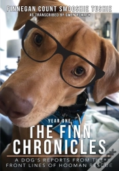 Capa do artigo The Finn Chronicles