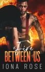 The Fire Between Us - Preview