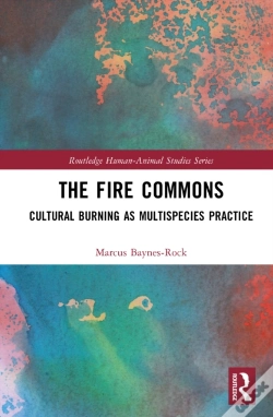 Capa do artigo The Fire Commons