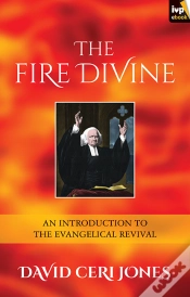 Capa do artigo The Fire Divine