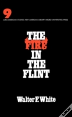 Capa do artigo The Fire In The Flint