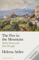 The Fire In The Mountain