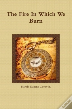 Capa do artigo The Fire In Which We Burn