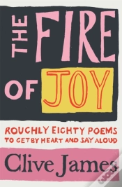 Capa do artigo The Fire Of Joy