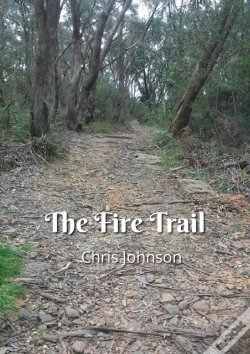 Capa do artigo The Fire Trail