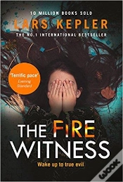 Capa do artigo The Fire Witness