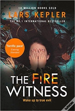 Capa do artigo The Fire Witness