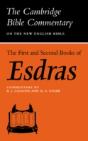 The First And Second Books Of Esdras - Preview