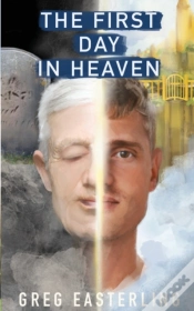 Capa do artigo The First Day In Heaven