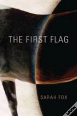 Capa do artigo The First Flag