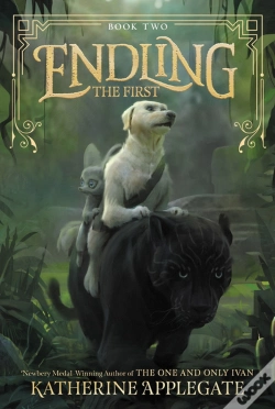 Capa do artigo The First