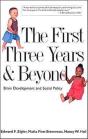 The First Three Years And Beyond - Preview
