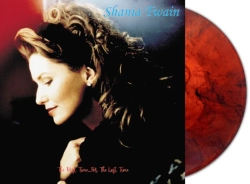 Capa do artigo The First Time for the Last Time - Vinil