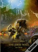 The First Wall