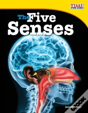 Capa do artigo The Five Senses