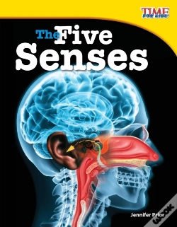 Capa do artigo The Five Senses