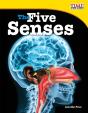 The Five Senses - Preview
