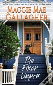Capa do artigo The Fixer Upper
