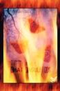 The Flames That Engulf Us - Preview