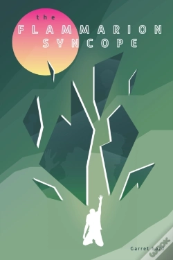 Capa do artigo The Flammarion Syncope