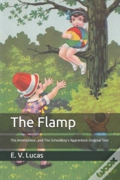 Capa do artigo The Flamp