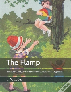 Capa do artigo The Flamp