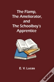 Capa do artigo The Flamp, The Ameliorator, And The Schoolboy