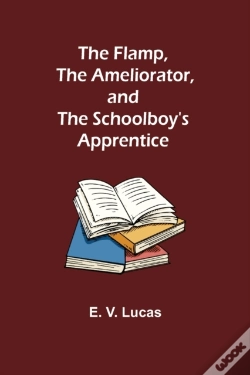 Capa do artigo The Flamp, The Ameliorator, And The Schoolboy'S Apprentice