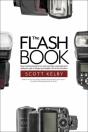 The Flash Book - Preview