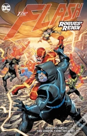 Capa do artigo The Flash Vol. 13