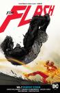 The Flash Volume 7: Perfect Storm - Preview