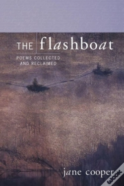 Capa do artigo The Flashboat