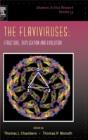 The Flaviviruses - Preview