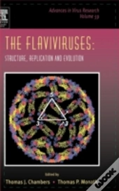 The Flaviviruses