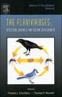 The Flaviviruses - Preview
