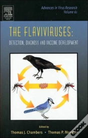 Capa do artigo The Flaviviruses