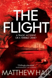 Capa do artigo The Flight