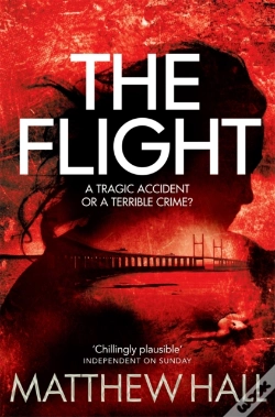Capa do artigo The Flight