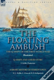 Capa do artigo The Floating Ambush