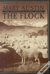 Capa do artigo The Flock