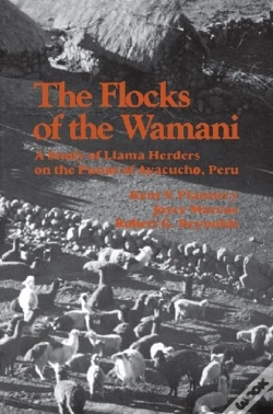 Capa do artigo The Flocks Of The Wamani