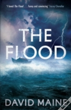 Capa do artigo The Flood