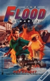 Capa do artigo The Flood Disaster