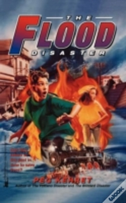 Capa do artigo The Flood Disaster