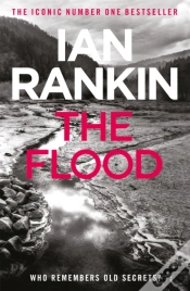 Capa do artigo The Flood