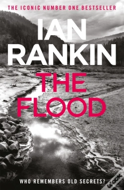 Capa do artigo The Flood