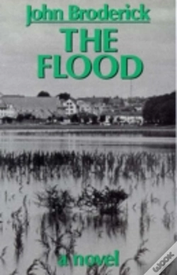 Capa do artigo The Flood